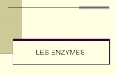 LES ENZYMES - WordPress.com...Les iso-enzymes MB des créatine-phospho-kinases (CPK-MB) présentent une bonne spécificité et sensibilité. La limitation diagnostique de ce dosage