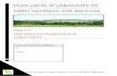 PLAN LOAL D’URANISME DE SAINT-GEORGES-SUR ......Conseil Développement Habitat Urbanisme, 9 Boulevard Vaulabelle, 89000 Auxerre PLAN LOAL D’URANISME DE SAINT-GEORGES-SUR-BAULCHE