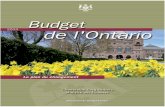Budget de l’Ontario 2004 Jue Complet · 2020. 2. 7. · Budget de l’Ontario 2004 4 Grâce à cette nouvelle approche, le gouvernement sera mieux à même d’établir un plan