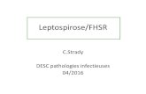 Leptospirose/FHSR - Infectiologie...Signes biologiques Signes biologiques m Leptospirose FHSR p Leucocytose maximale 10 10300 [3500-27300] 9000 [1900-55300] 0,5 Thrombopénie minimale