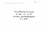 Vadémécum Cat. C/CE - Voie publique - CAP...Vade-mecum voie publique cat. C-CE CAP v. D GOCA©2011 – VM Cat. C CE VP CAP – DF - 02/04/2012 PRINT DATE : 02/02/2012 Page 3 of 118