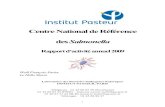 Centre National de Référence des Salmonella - Institut Pasteur | Pour la … · 2021. 1. 28. · Salmonella par la méthode de typage la plus adaptée au sérotype en cause et par