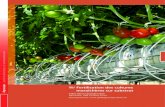 1 1/ Fertilisation des cultures maraîchères sur substrat · 2019. 11. 29. · 11/ Fertilisation des cultures maraîchères sur substrat Couverture: culture de tomate sur substrat