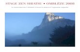 STAGE ZEN SHIATSU • OMBLÈZE 2008 · PDF file 2020. 1. 10. · STAGE ZEN SHIATSU • OMBLÈZE 2008 Le mouvement des 5 éléments à travers le shiatsu et l’expression corporelle.
