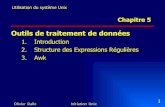 Outils de traitement de données - INFORMATIQUEdeptinfo.unice.fr/twiki/pub/Main/MaNSystemeTIM/05_Regexp.pdf · 2005. 10. 7. · Olivier Dalle Initiation Unix 2 1. Introduction Expression