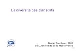 Daniel Gautheret, 2005 - Université Paris-Saclayrssf.i2bc.paris-saclay.fr/gautheret/cours/transcrits-alt... · 2017. 5. 24. · 9Ex: Modrek B, Resch A, Grasso C, Lee C.Genome-wide