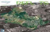 REFL ETS - Ville de la Membrolle-sur-Choisille · .legadopix.frcom.legadopix.frcom Reflets de Choisille - N°4 - juillet 2015 • 6 Reflets de Choisille - N°4 - juillet 2015 •