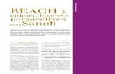 REACH : enjeux, leçons et perspectives pour · PDF file 2015. 9. 28. · 3 REACH: enjeux, leçons et perspectives pour Sanofi limitée (trois à douze ans), au cas par cas, afin de