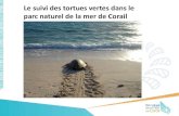 Muséum national d'Histoire naturelle - Le suivi des tortues vertes …gtmf.mnhn.fr/.../181029-presentation-parc-tortues-GTMF.pdf · 2019. 3. 4. · 3. Etudier les déplacements des
