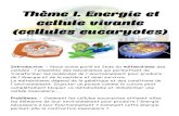 Thème I. Energie et cellule vivante (cellules eucaryotes) · 2017. 4. 4. · Thème I. Energie et cellule vivante (cellules eucaryotes) Introduction : Nous avons parlé en 2nde du