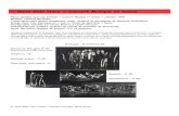 « West Side story » Concert Musique et Danse Side Story.pdf · 2010. 3. 15. · « West Side story » Concert Musique et Danse Pièces dansées pour une formule « Concert Musique