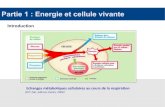Partie 1 : Energie et cellule vivante - Académie de Bordeauxblogpeda.ac-bordeaux.fr/svtpapeclement/files/2018/03/...Partie 1 : Energie et cellule vivante 1. oxydation incomplète