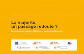 La majorité, un passage redouté - SOS jeunes · 2013. 9. 30. · la personne handicapée / Kris Blervacq – JeS/ Luc Bolssens, Laurent Flémal-rom en rom /mr Botte, Jean-marie