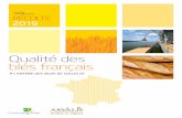 Qualité des blés franais · 2019. 10. 4. · le circuit de commercialisation. Sur les cinq dernières campagnes, la collecte nationale s’est maintenue à un niveau élevé sauf