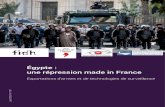 Égypte : une répression made in France · 2018. 7. 3. · 6 FIDH - Égypte : une répression made in France françaises ayant vendu des équipements – à la fois des armes conventionnelles