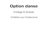 Châtillon-sur-Chalaronne · 2020. 5. 30. · La danse contemporaine se définit comme l'art du mouvement. Ce dernier est exploré sous toutes ses facettes. Il est mis en forme, transformé,