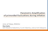 Parametric Amplification of primordial fluctuations during …...Parametric resonance between oscillations of the heavy field and the fluctuations in the inflaton field. Features in