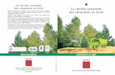 La récolte raisonnée des rémanents en forêt · 2016. 5. 23. · Pascal LEON,UCFF (Union de la Coopération Forestière Française) ... Les modes d’exploitation contemporains
