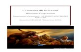 L’Univers de Warcraftalbert.cool.free.fr/FTP/IUTInfo/Memoire Warcraft final.pdf · Ce Mémoire porte sur Warcraft, une saga de jeux vidéo qui a donné naissance à un univers gigantesque