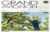 GRAND...3 GRAND AVIGNON MAG / ÉTÉ 2019 #38 Capitale des Côtes-du-Rhône, terre de soleil, de senteurs et de saveurs, le territoire avignonnais exalte les sens et invite à prendre