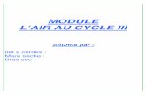 MODULE L’AIR AU CYCLE III - ac-reunion.frien-stlouis.ac-reunion.fr/fileadmin/user_upload/st-louis/... · 2013. 9. 20. · Bras sec : Sciences et technologies à l'école ... L’air