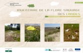 INVENTAIRE DE LA FLORE SAUVAGE DES LANDES · 2019. 10. 30. · CBNSA - Inventaire de la flore sauvage des Landes - bilan des travaux menés en 2016 4 peu à peu place à un paysage