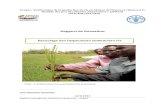 Rapport de formation Recyclage des inspecteurs semenciers riz · 2012. 8. 20. · Rapport recyclage des inspecteurs semenciers APRAO 3 1. Introduction Dans le cadre de renforcement