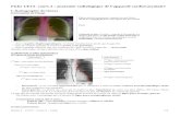 L2 BICHAT 2019-2020 - Accueil · Web viewFiche UE13- cours 3 : anatomie radiologique de l’appareil cardiovasculaire I. Radiographie du thorax 1) Formation de l’image → deux
