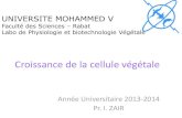 UNIVERSITE MOHAMMED V · Croissance de la cellule végétale Année Universitaire 2013-2014 Pr. I. ZAIR UNIVERSITE MOHAMMED V Faculté des Sciences – Rabat Labo de Physiologie et