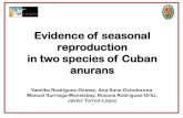 Evidence of seasonal reproduction in two species of Cuban …caribaea.org/wordpress/wp-content/uploads/RODRIGUEZ... · 2018. 7. 20. · Cuba might induce this type of pattern, which