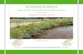 Suivi technique des opérations de restauration des ripisylves Ruisseau des · PDF file 2016. 2. 16. · Suivi technique des opérations de restauration des ripisylves Ruisseau des