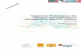 Rapport de fin de travaux des sondages hydrogéologiques d’Estagel et de …infoterre.brgm.fr/rapports/RP-53727-FR.pdf · 2009. 9. 29. · Rapport de fin de travaux des sondages