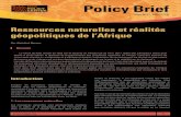 Ressources naturelles et réalités géopolitiques de l’Afrique...continent, mais plus grave encore, elles sont source de crises et de tensions. C’est dans cette même veine que