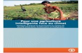 Pour une agriculture intelligente face au climat · 2017. 11. 28. · intelligente sur le plan climatique. 6) Le renforcement des capacités institutionnelles est fondamental pour