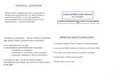 Différents types d’endocarditeuniv.ency-education.com/uploads/1/3/1/0/13102001/cardio4... · 2018. 9. 7. · 1 Endocardite infectieuse Dr H.Foudad SEVICE DE CARDIOLOGIE Hôpital