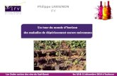 Philippe LARIGNON IFV - IFV Occitanie...Les 2ndes assises des vins du Sud-Ouest les 10 & 11 décembre 2014 à Toulouse Philippe LARIGNON IFV Un tour du monde d’horizon Les 2ndes