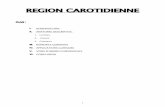 REGION CAROTIDIENNEanatomie-fmpm.uca.ma/wp-content/uploads/2020/08/REGION... · 2020. 8. 10. · carotidien d’Arnold, zone réflexogène ayant un rôle dans la régulation de la