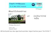 MeetOchondries et (in)fertilité mâlemeetochondrie.ibgc.cnrs.fr/colloques/colloque4/... · 2010. 6. 15. · Mitochondries et spermatogenèse Ramalho-Santos, J. et al. Hum Reprod