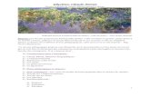 Glycines, Claude Monet - ac-orleans-tours.fr · 2011. 8. 30. · En 1890, Claude Monet achète la propriété de Giverny. Il parcourt la campagne, peignant des meules de la fin de