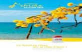 Le Soleil en Hiver sur la Côte d’Azur...Côte d’Azur, la Route du Mimosa s’étend sur 130 km de Bormes-Les- Mimosas à Grasse. Cet itinéraire touristique à découvrir de janvier