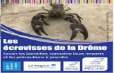 Les écrevisses de la Drômedrome.federationpeche.fr/cms_viewFile.php?idtf=21055&...sur notre site : La carte de pêche est obligatoire pour pêcher dans les eaux libres en France.