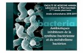 Année universitaires 2018-2019univ.ency-education.com/uploads/1/3/1/0/13102001/pharm3...1- Antibiotiques inhibant la synthèse de la paroi bactérienne : bêta-lactamines, glycopeptides