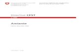 Directive CFST - Vaud · 2011. 5. 30. · CFST 6503.f – 12.08 Remarques concernant la présente directive Les objectifs de sécurité de la présente directive de la CFST figurent