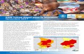 PAM Tchad Appel pour la Nutrition Novembre 2017 · 2020. 5. 1. · Appel pour la Nutrition-PAM Tchad Action d’urgence requise sont susceptibles d'rtre moins éduquées, moins productives