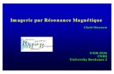 Imagerie par Résonance Magnétique - Institut national de …e2phy.in2p3.fr/2002/presentations/moonen.pdf · 2003. 2. 7. · Avantages de l’IRM de T° pour le guidage des thermo-thérapies