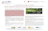 Le maintien des espaces ouverts - Les Alpages des Savoie · 2019. 9. 13. · l’avancée de la forêt a été un phénomène important au cours du XXème siècle, du fait de phénomènes
