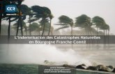 L’indemnisation des Catastrophes Naturelles en Bourgogne … · 2019. 5. 24. · o Éclairer la mise en œuvre des politiques de prévention Présentation de la Caisse Centrale