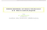 BIOCHIMIE STRUCTURALE ET METABOLIQUE · 2021. 1. 17. · Polycopié de biochimie structurale et métabolique, 1ère année D.V, Pr. A. MEKROUD, 2020-2021 Par A MEKROUD Professeur