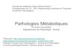 Pathologies Métaboliques - Accueill2bichat2018-2019.weebly.com/uploads/1/1/2/5/...des lipides (triglycérides: stéatose, cholestérol; athérome) des glucides (glycogénoses) des
