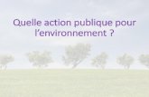 Quelle action publique pour l’environnement...gouvenement de L. Jospin. Un appot su le sujet est demandé à l’un des leades du mouvement Yves ochet, futu ministe de l’Envionnement.